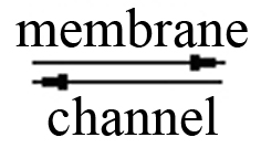 MembraneChennel.jpg
