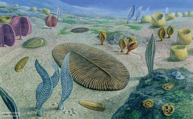 preCambrian