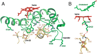 Fig. 4.