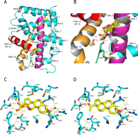 Fig. 3.