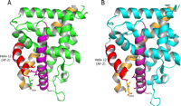 Fig. 6.