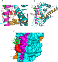 Fig. 7.