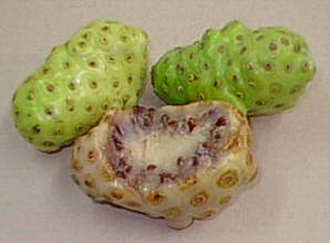 jamaican fruit
