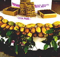 Ja. Cocoa Board display