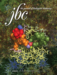 Current Issue