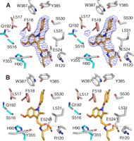 FIGURE 1.