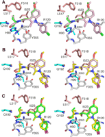 FIGURE 3.