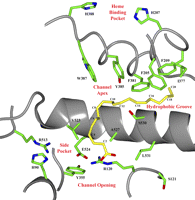 FIGURE 1.