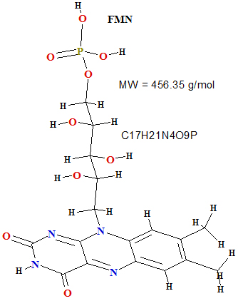 FMN