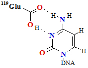 Glu119